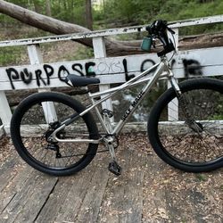 Custom Se Bike 