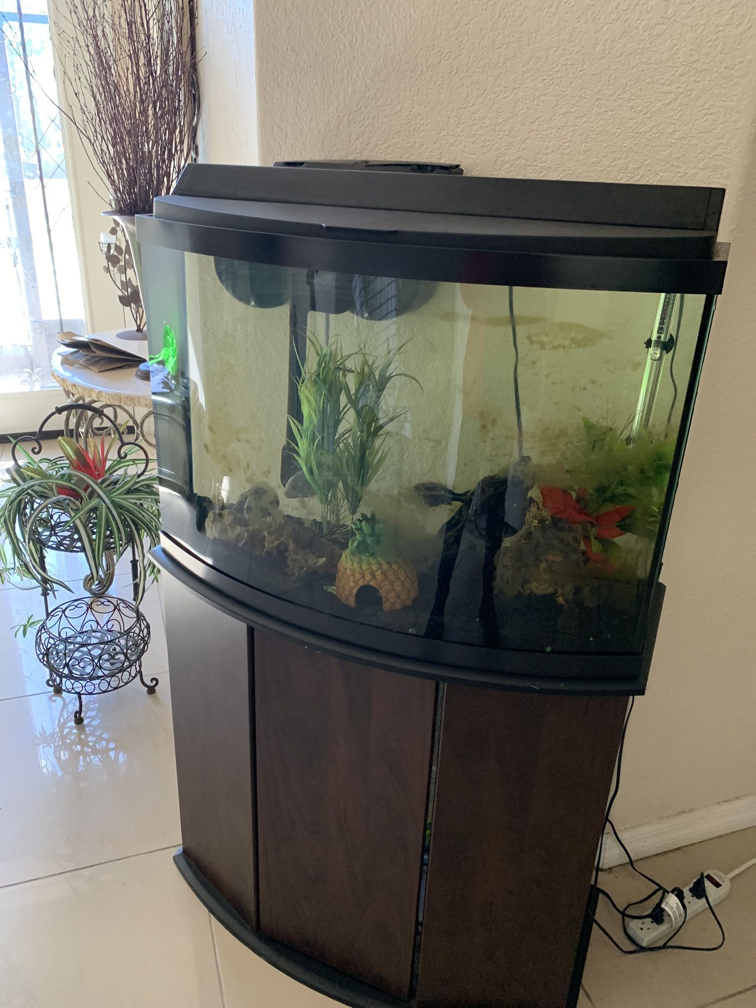 Aquarium , Stand And Accessories