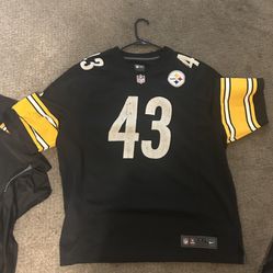 Pittsburgh Steelers Troy Polamalu #43