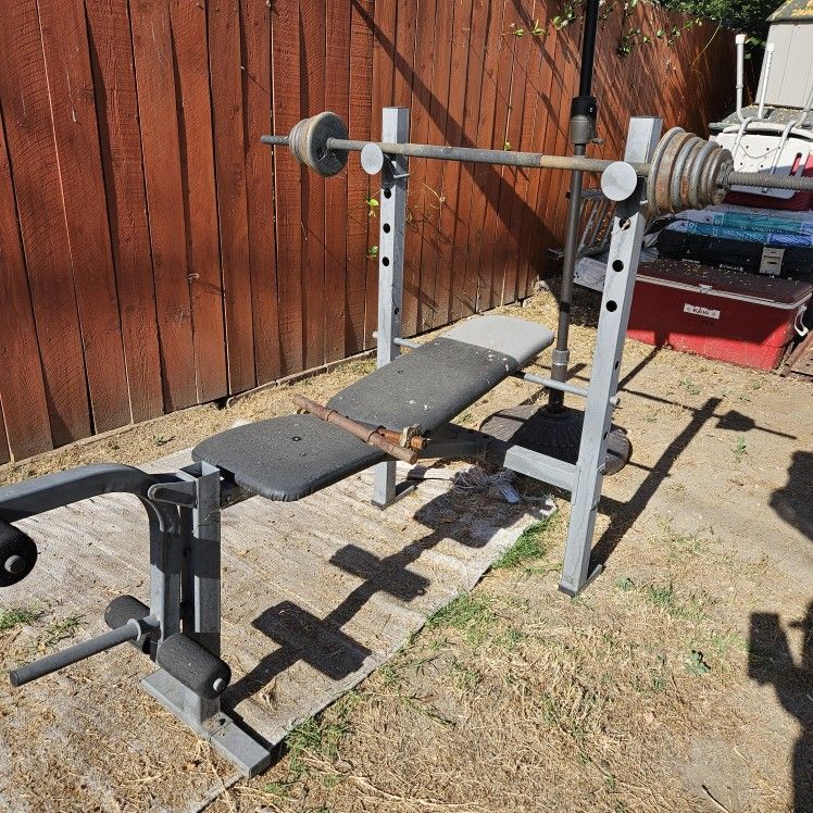 Workout Bench