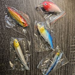 (5) Fishing Lures