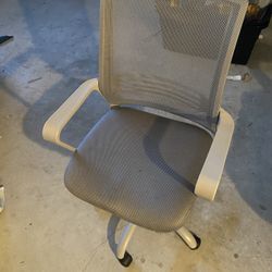 Gray Mesh Back Ergo Office Chair With Lumbar Support