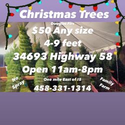 "Freshly 🎄 Cut Christmas Trees from a Local Family Farm – Only $50 for Sizes Ranging from 4 to 9 Feet! 🤶✨"