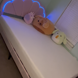 Full size bed frame and mattress