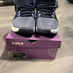 LeBron Witness VIII