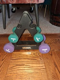 Hand weights with storage frame