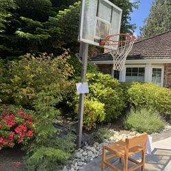 Free Basketball Hoop