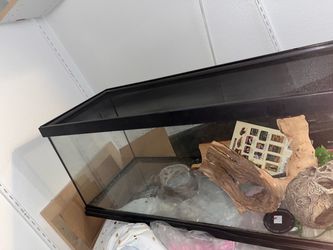 Snake or lizard terrarium!