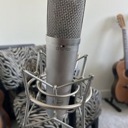 Peluso 87 Microphone 🎤 