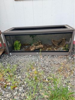 Reptile tank
