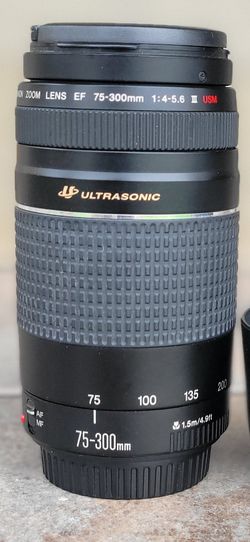 Canon Ef 75 300mm F 4 5 6 Iii Usm Telephoto Zoom Lens For Sale In Tomball Tx Offerup