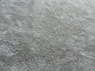 Gray 4x6 rug. Carpet style Pile
