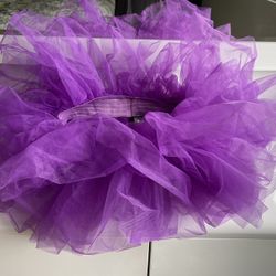 Halloween Costume - Purple Tutu