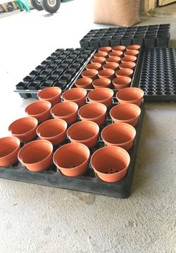 SEED STARTING TRAYS