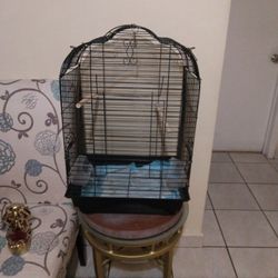 Bird Cage