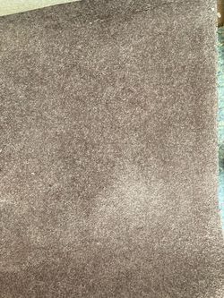 Carpet- good condition
