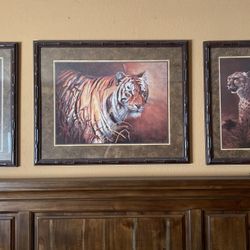 Home & Interior