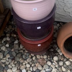 Succulents And Pots For Sale 