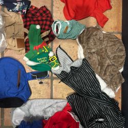 Lot Of Small Dog Clothes. 