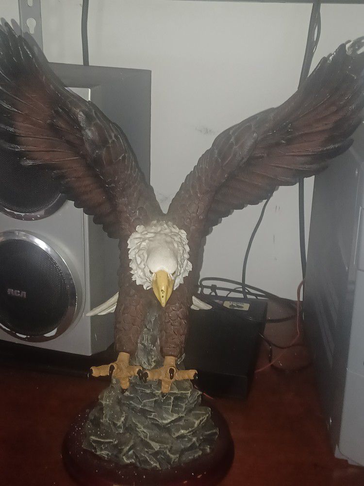Large Heavy Eagle