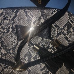 SNAKESKIN PRINT  PURSE