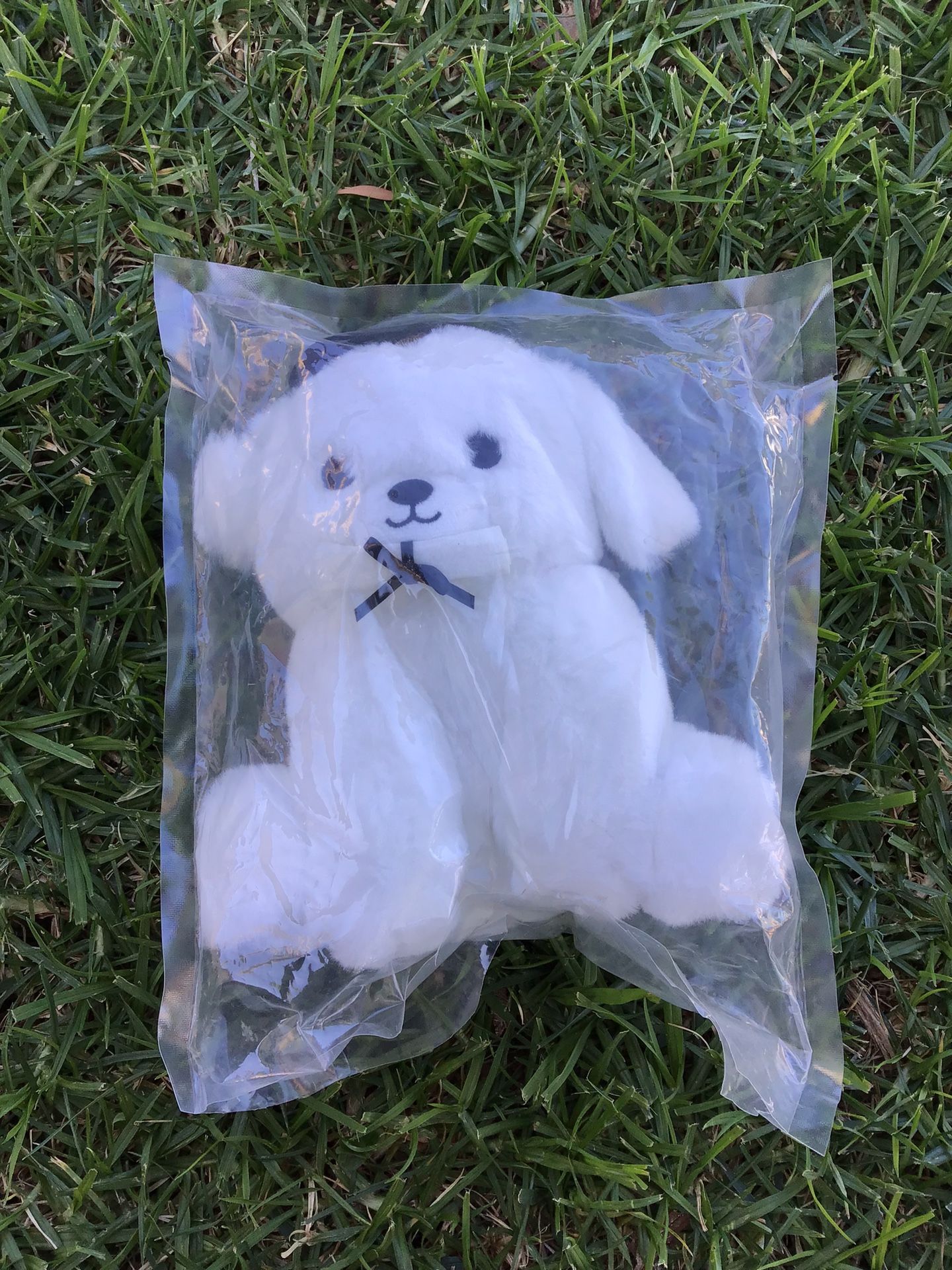 Dog Plush Elementary Middle Junior High School College University Graduation Gift White Dog Puppy Toy Home Room Bed Bedroom Decor Plush Pillow