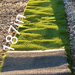 Grass 