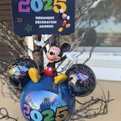 2025 Walt Disney World Parks Mickey Mouse Icon Glass Ball Ear Ornament NEW
