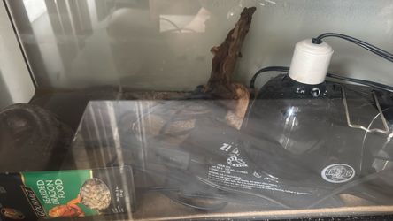 Terrarium