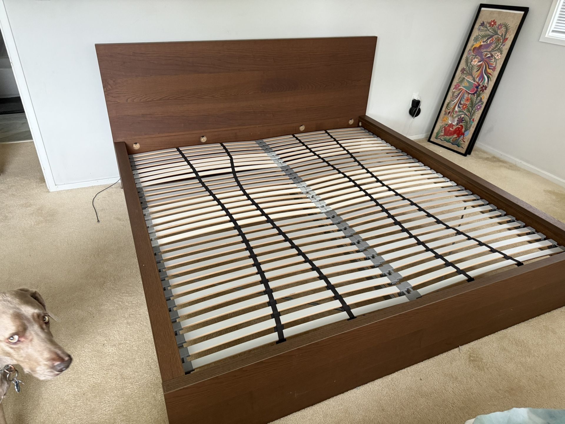 IKEA MALM Bed Frame