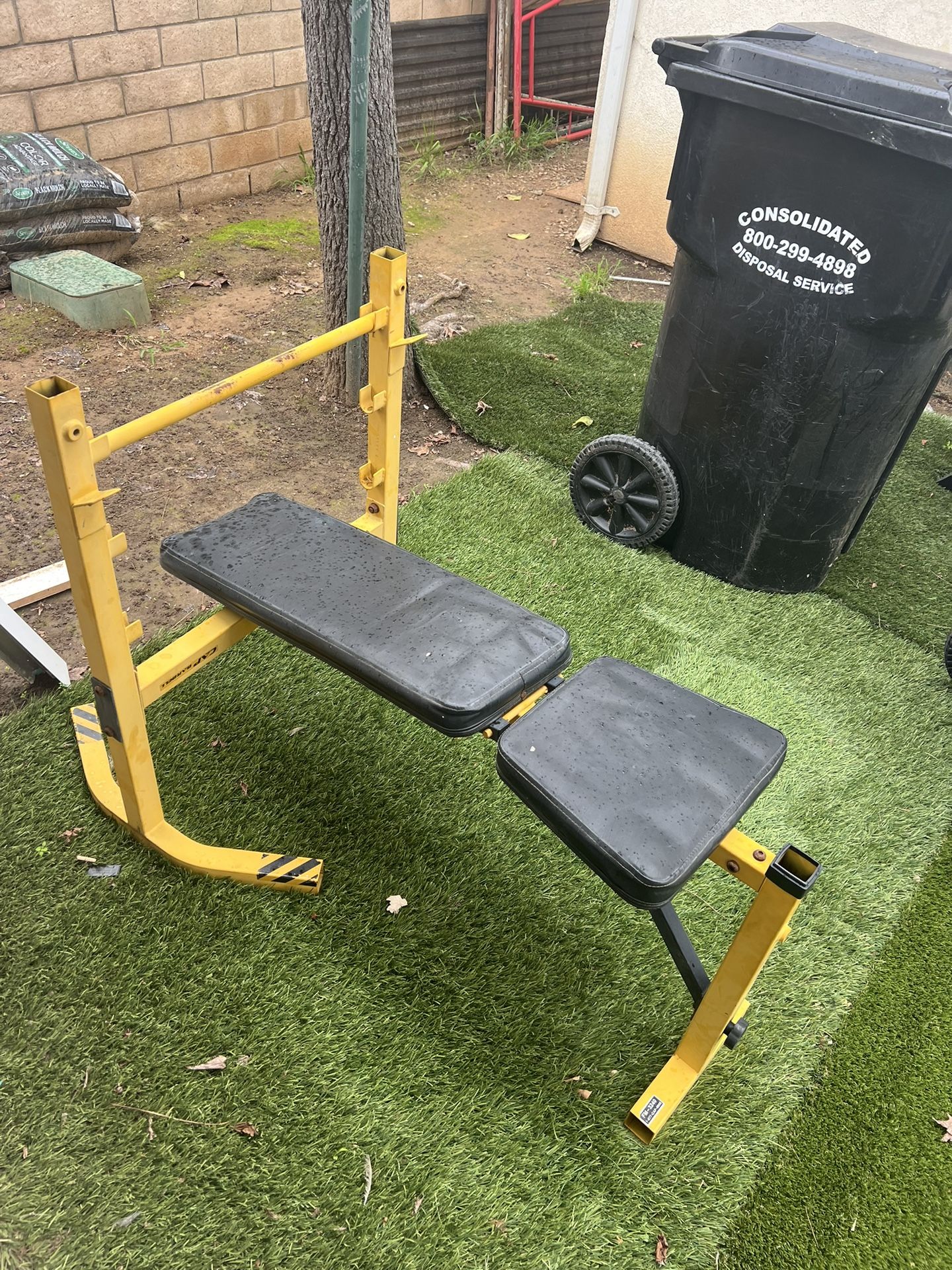 Weight Bench