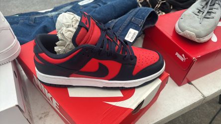 Nike dunk low retro