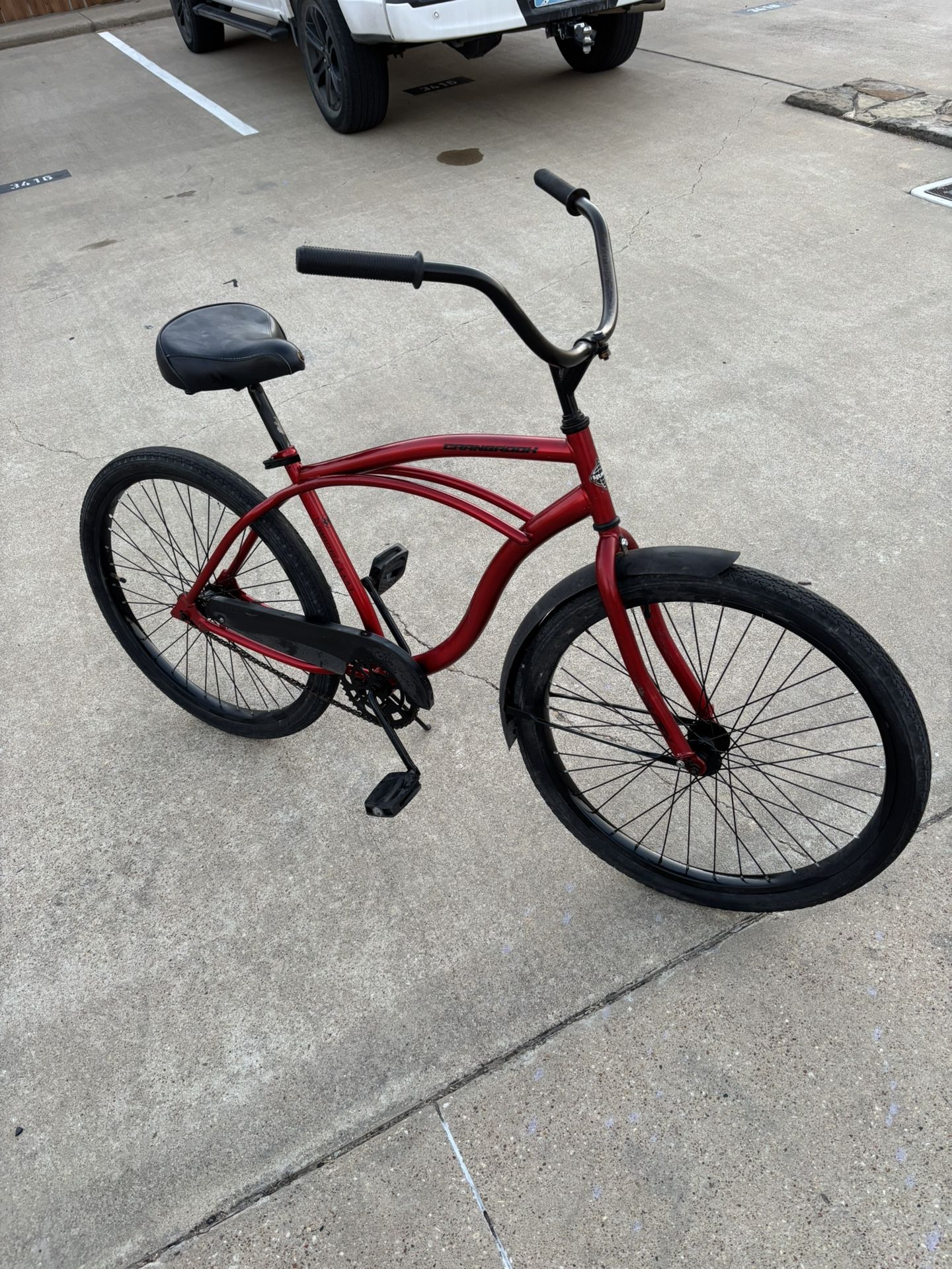 Beach Cruiser 