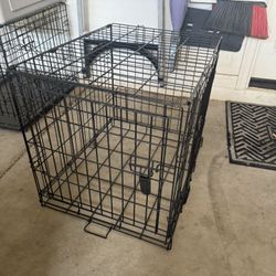 Dog Kennel 