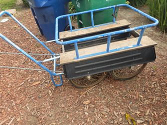 Custom Wagon