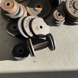 Weights + Barbell + Dumbbells