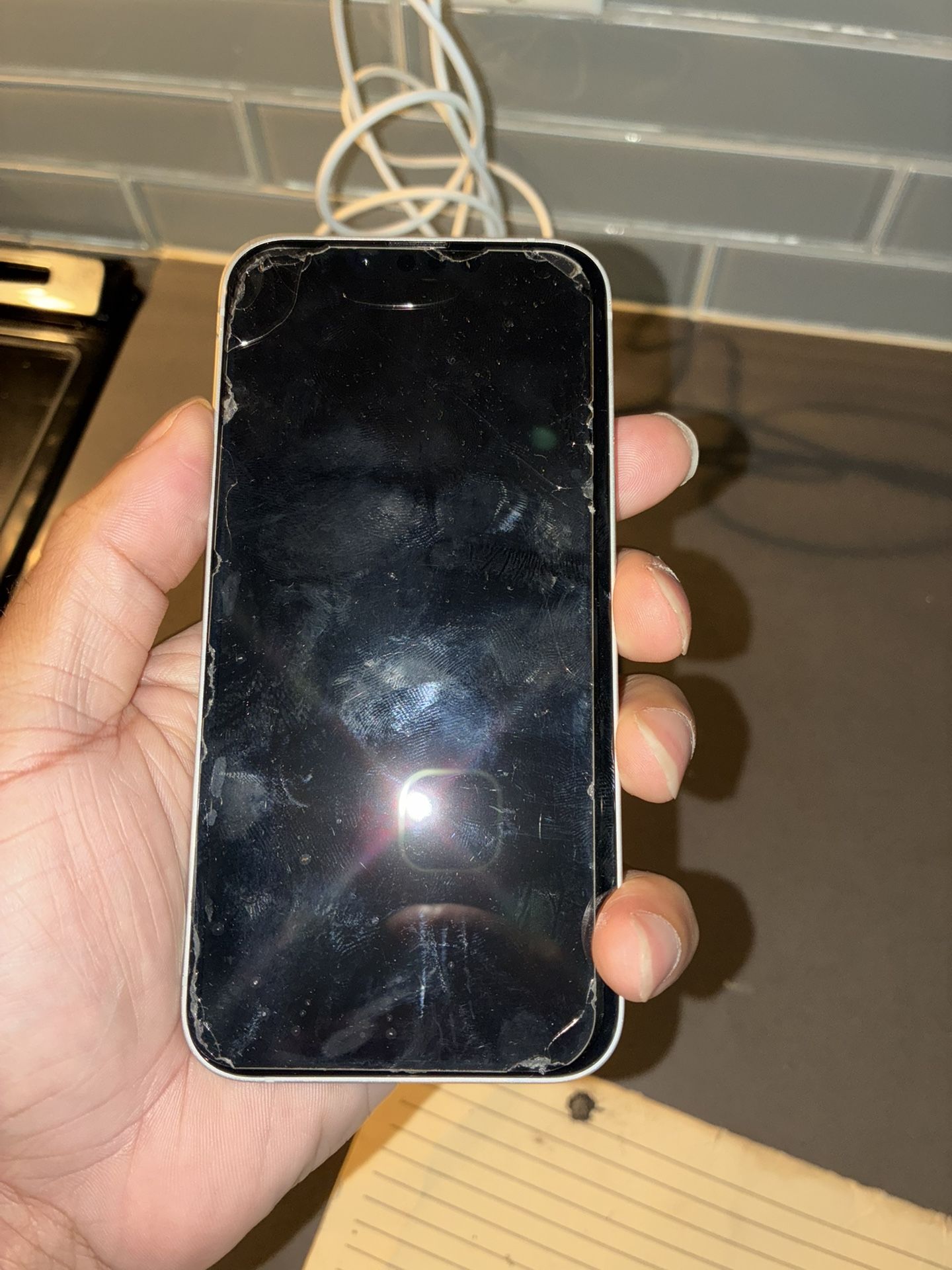 iPhone 16E