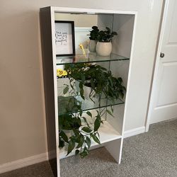 Shelf’s 