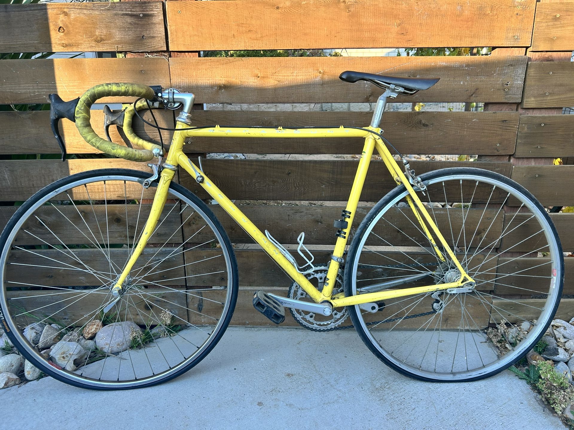 🚴‍♂️ 1986 Schwinn Paramount Road Bike – Hand Built Classic