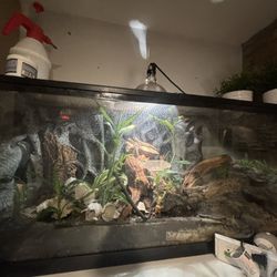 55  Gallon Bioactive Vivarium / Terrarium 