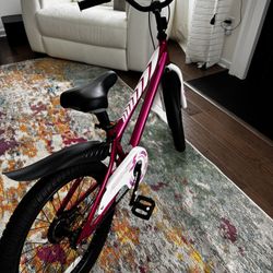 Girls Bicycle 20 Inch Wheel(6-10years) : Used , Looks Brand New