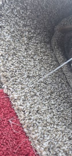 Carpet