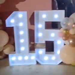 XV Dusty Rose Backdrop Numbers 