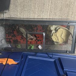20 Gallon Fish Tank 50