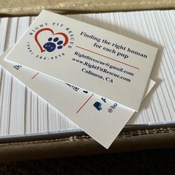 Business Cards Design & Print 