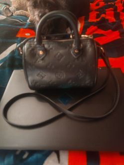 Louis Vuitton Purse