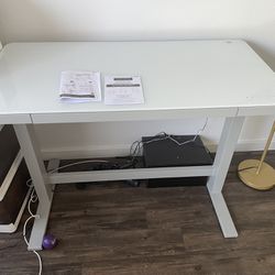 Tresanti Adjustable height Desk From Costco 