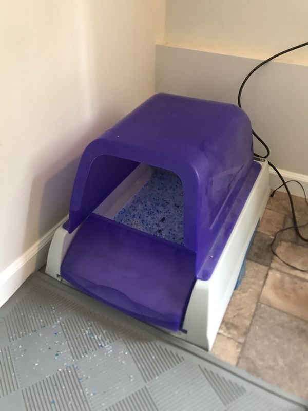 ScoopFree Automatic Cat Litter Box, Purple for Sale in Bellevue, WA
