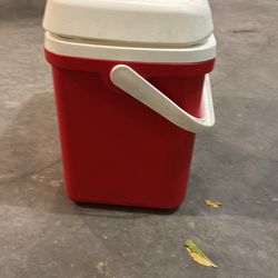 Igloo cooler