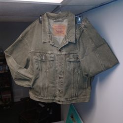 Vintage Levi's Type 3 Green Denim Truckers Jacket 